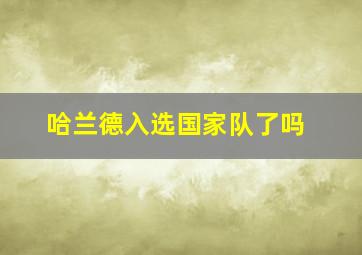 哈兰德入选国家队了吗