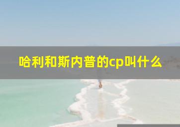 哈利和斯内普的cp叫什么