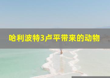 哈利波特3卢平带来的动物