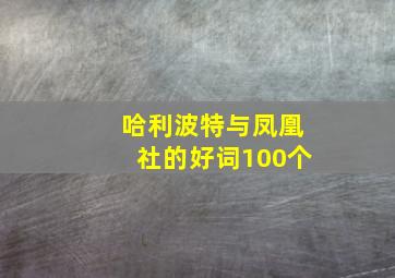 哈利波特与凤凰社的好词100个