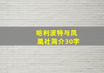 哈利波特与凤凰社简介30字