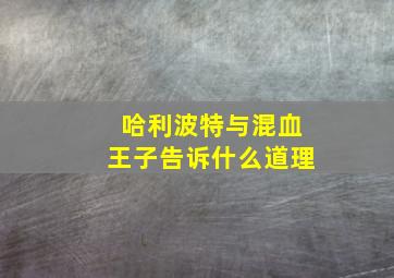 哈利波特与混血王子告诉什么道理