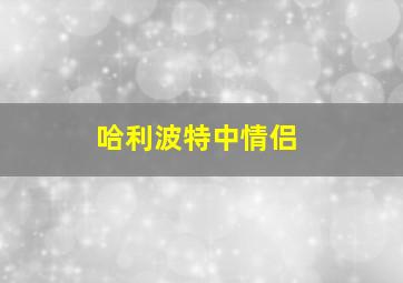 哈利波特中情侣