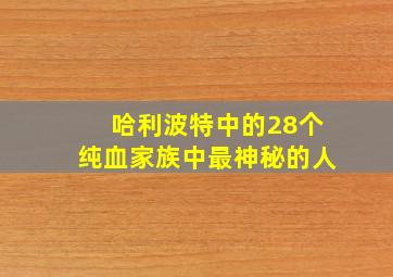 哈利波特中的28个纯血家族中最神秘的人