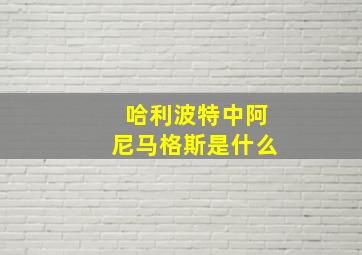 哈利波特中阿尼马格斯是什么