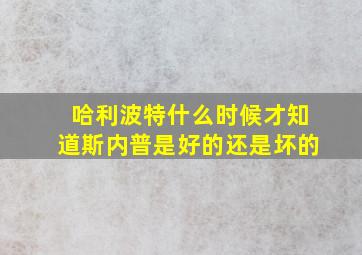 哈利波特什么时候才知道斯内普是好的还是坏的