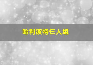 哈利波特仨人组