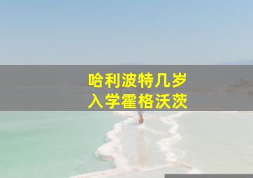 哈利波特几岁入学霍格沃茨