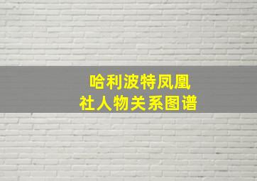 哈利波特凤凰社人物关系图谱