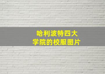 哈利波特四大学院的校服图片