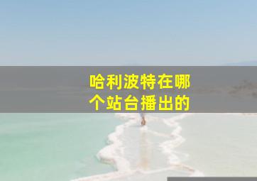 哈利波特在哪个站台播出的