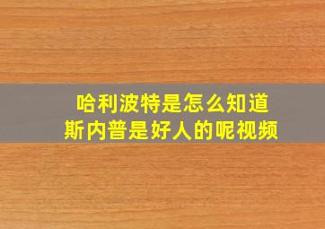 哈利波特是怎么知道斯内普是好人的呢视频