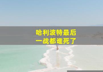 哈利波特最后一战都谁死了