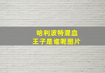 哈利波特混血王子是谁呢图片