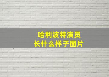 哈利波特演员长什么样子图片