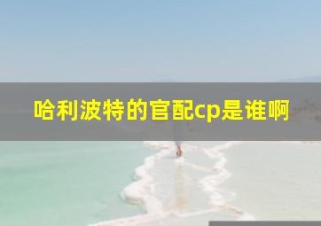 哈利波特的官配cp是谁啊