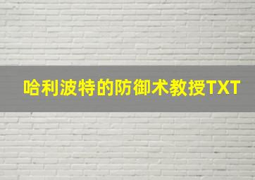 哈利波特的防御术教授TXT