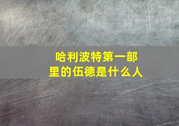 哈利波特第一部里的伍德是什么人