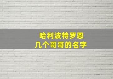 哈利波特罗恩几个哥哥的名字