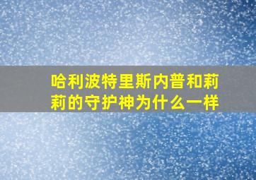 哈利波特里斯内普和莉莉的守护神为什么一样