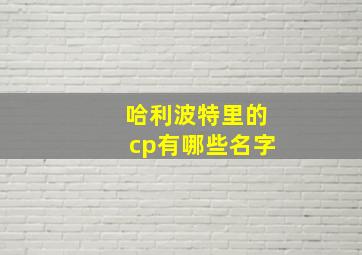 哈利波特里的cp有哪些名字