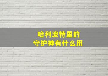 哈利波特里的守护神有什么用