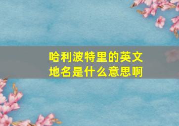 哈利波特里的英文地名是什么意思啊