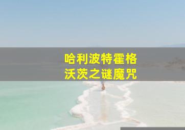 哈利波特霍格沃茨之谜魔咒