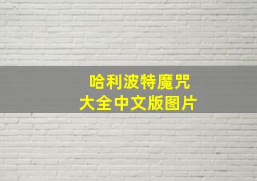 哈利波特魔咒大全中文版图片