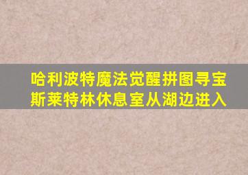 哈利波特魔法觉醒拼图寻宝斯莱特林休息室从湖边进入