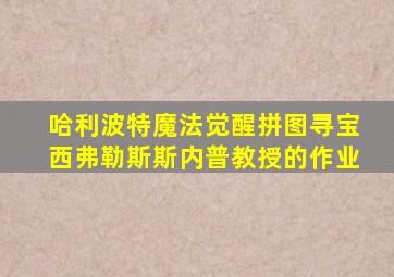 哈利波特魔法觉醒拼图寻宝西弗勒斯斯内普教授的作业