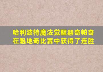 哈利波特魔法觉醒赫奇帕奇在魁地奇比赛中获得了连胜