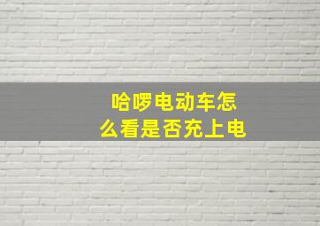 哈啰电动车怎么看是否充上电