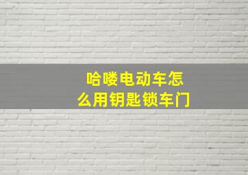 哈喽电动车怎么用钥匙锁车门