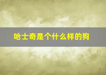 哈士奇是个什么样的狗