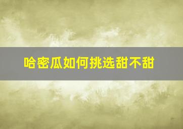 哈密瓜如何挑选甜不甜