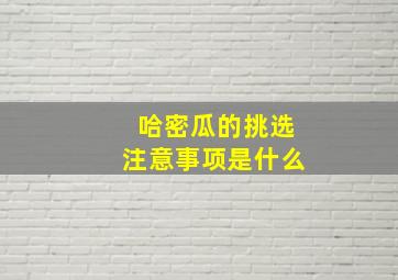 哈密瓜的挑选注意事项是什么