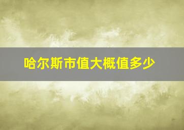 哈尔斯市值大概值多少