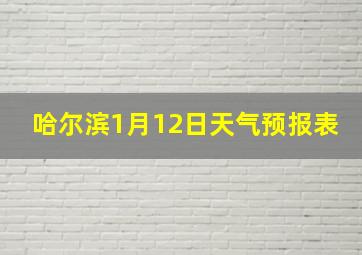 哈尔滨1月12日天气预报表