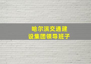 哈尔滨交通建设集团领导班子