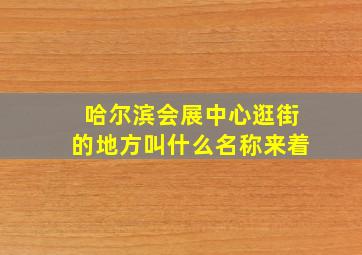 哈尔滨会展中心逛街的地方叫什么名称来着