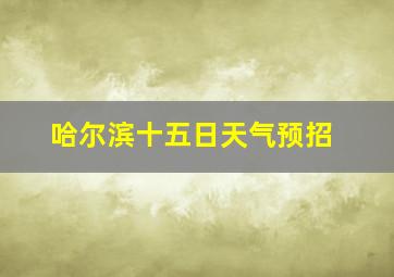 哈尔滨十五日天气预招