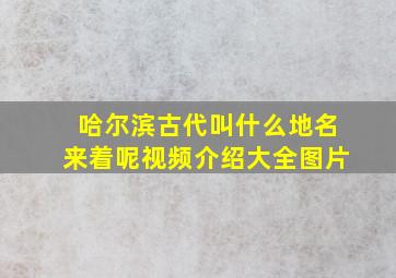 哈尔滨古代叫什么地名来着呢视频介绍大全图片