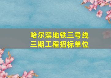 哈尔滨地铁三号线三期工程招标单位