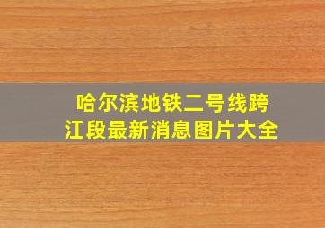 哈尔滨地铁二号线跨江段最新消息图片大全