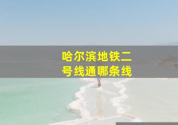 哈尔滨地铁二号线通哪条线