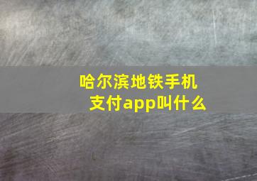 哈尔滨地铁手机支付app叫什么