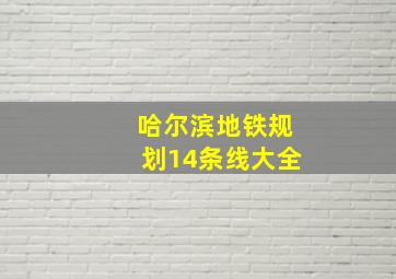 哈尔滨地铁规划14条线大全