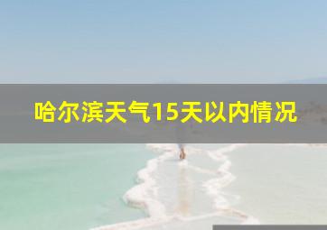 哈尔滨天气15天以内情况