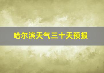 哈尔滨天气三十天预报